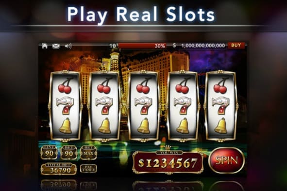 Cats, Dogs and slots online