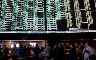 Betting lines are impacted more by who makes a bet, not how much is wagered