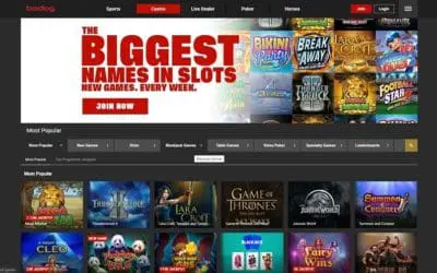 Experience Elite Gaming at Bodog Casino with Exclusive Benefits!